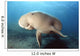 Dugong swimming underwater Wall Mural