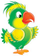 Funny Parrot Wall Decal