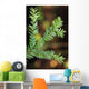 Pacific Yew Tree Leaves Source Of Cancer Fighting Drug Taxol Wall Mural