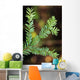 Pacific Yew Tree Leaves Source Of Cancer Fighting Drug Taxol Wall Mural