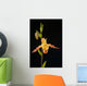 Orchid On Black Background Wall Mural