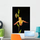 Orchid On Black Background Wall Mural