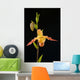 Orchid On Black Background Wall Mural