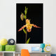 Orchid On Black Background Wall Mural