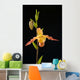 Orchid On Black Background Wall Mural