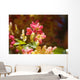 Hawaii, Maui, Close-Up Of Blossoms Of A Shower Tree Wall Mural