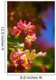Hawaii, Maui, Close-Up Of Blossoms Of A Shower Tree Wall Mural