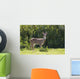 Hawaii, Maui, A Feral Axis Deer Standing In A Green Meadow Wall Mural