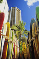 USA, Hawaii, Oahu, Surfboards lined up at Waikiki Beach Wall Mural