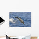 Hawaii, Spinner Dolphin Leaps Into The Air Wall Mural