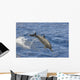 Hawaii, Spinner Dolphin Leaps Into The Air Wall Mural