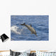 Hawaii, Spinner Dolphin Leaps Into The Air Wall Mural
