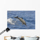 Hawaii, Spinner Dolphin Leaps Into The Air Wall Mural