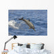Hawaii, Spinner Dolphin Leaps Into The Air Wall Mural