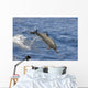 Hawaii, Spinner Dolphin Leaps Into The Air Wall Mural