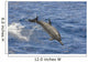 Hawaii, Spinner Dolphin Leaps Into The Air Wall Mural