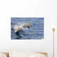 USA, Spinner Dolphins jumping Wall Mural