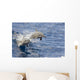 USA, Spinner Dolphins jumping Wall Mural