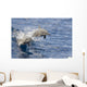 USA, Spinner Dolphins jumping Wall Mural