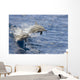 USA, Spinner Dolphins jumping Wall Mural