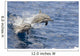 USA, Spinner Dolphins jumping Wall Mural