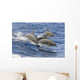 Hawaii, Spinner Dolphins Leap Into The Air At The Same Time Wall Mural