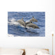 Hawaii, Spinner Dolphins Leap Into The Air At The Same Time Wall Mural