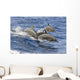 Hawaii, Spinner Dolphins Leap Into The Air At The Same Time Wall Mural