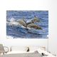 Hawaii, Spinner Dolphins Leap Into The Air At The Same Time Wall Mural