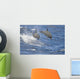 Hawaii, Spinner Dolphins Leap Into The Air At The Same Time Wall Mural