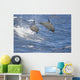 Hawaii, Spinner Dolphins Leap Into The Air At The Same Time Wall Mural