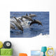 Hawaii, Seven Spinner Dolphin Leap Into The Air At The Same Time Wall Mural