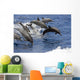Hawaii, Seven Spinner Dolphin Leap Into The Air At The Same Time Wall Mural