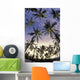 Coconut palm tree grove at Pu Wall Mural