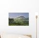 pasture and grassy hill covered with fog at Parker Ranch Wall Mural