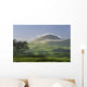pasture and grassy hill covered with fog at Parker Ranch Wall Mural