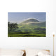 pasture and grassy hill covered with fog at Parker Ranch Wall Mural