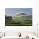 pasture and grassy hill covered with fog at Parker Ranch Wall Mural