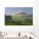 pasture and grassy hill covered with fog at Parker Ranch Wall Mural