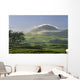 pasture and grassy hill covered with fog at Parker Ranch Wall Mural