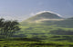 pasture and grassy hill covered with fog at Parker Ranch Wall Mural