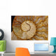 Ammonite Fossil Wall Mural