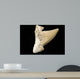 Fossil Shark Tooth Wall Mural