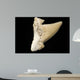 Fossil Shark Tooth Wall Mural