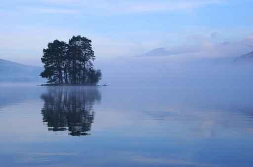 Island Trees Wall Decal