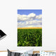 Green Corn and Wheat Wall Decal