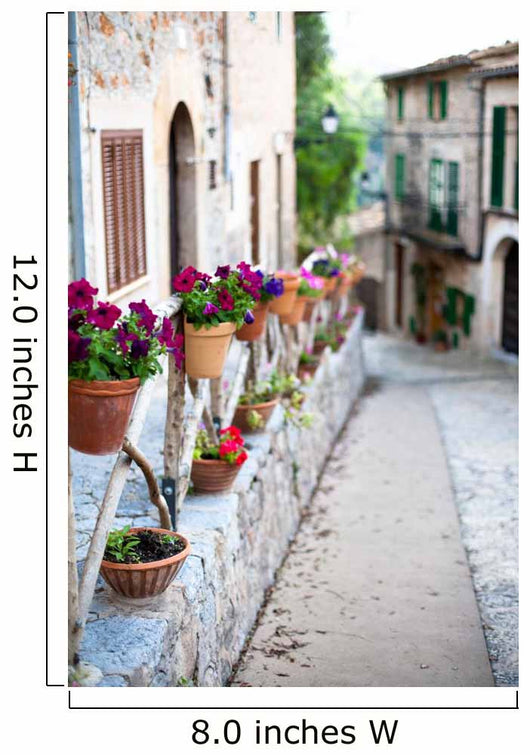 Valldemossa