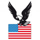 Usa Eagle Wall Mural