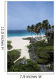 Barbados, Caribbean, Landscape of tropical white sand beach Wall Mural