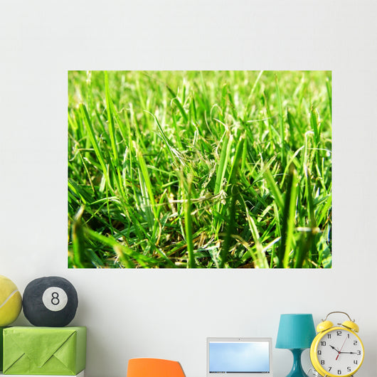 Grass